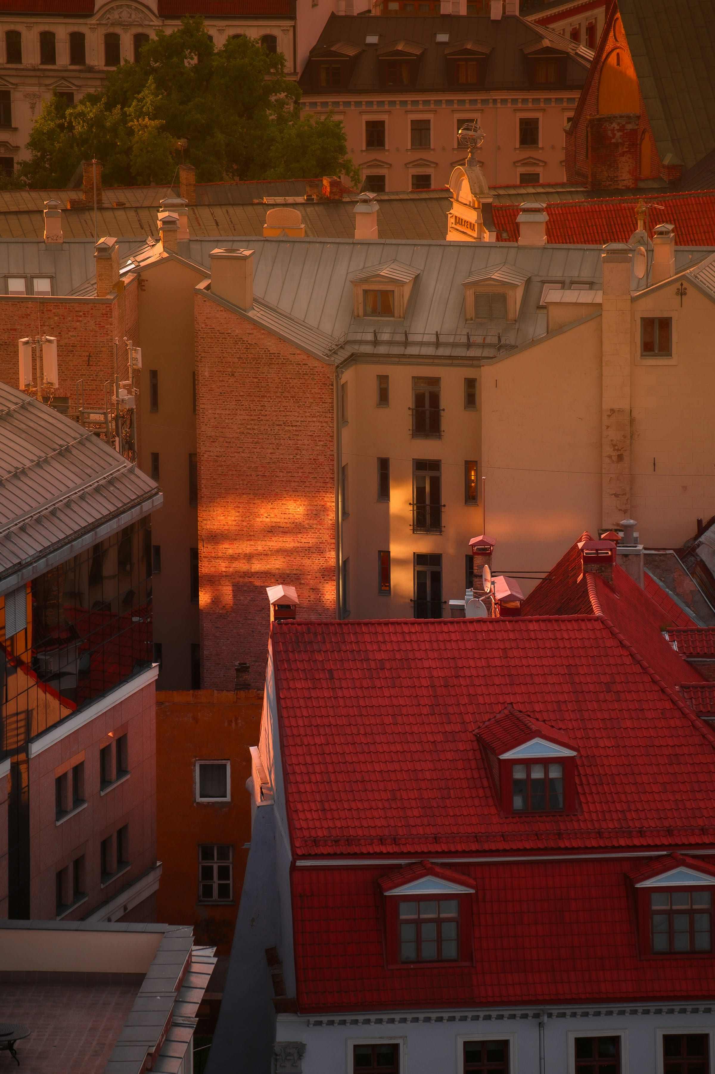 City rooftops in low sunset light, tiles and chimneys warm against the shade.