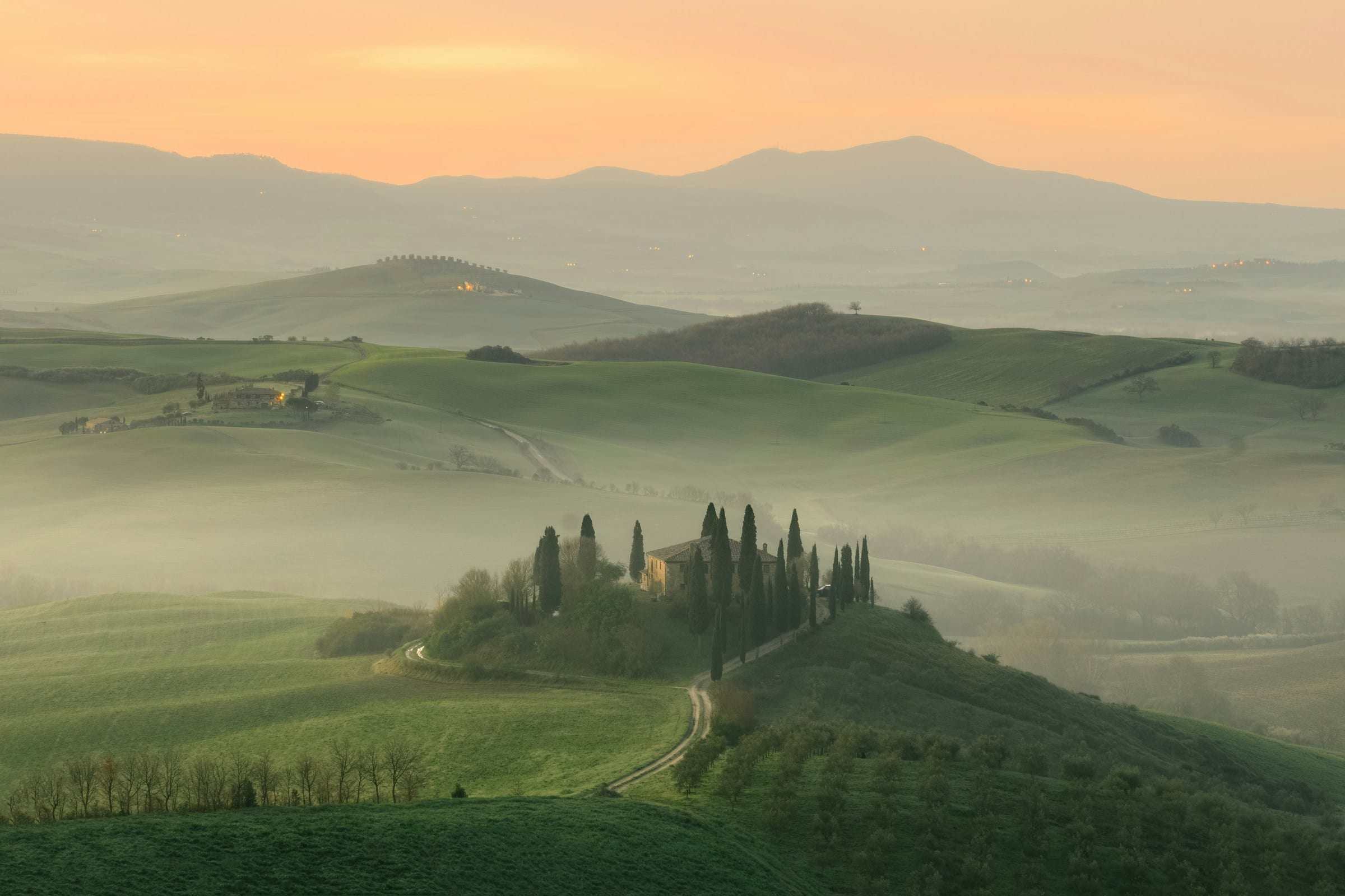 An estate house among cypresses on a misty hillside, first light across the fields.